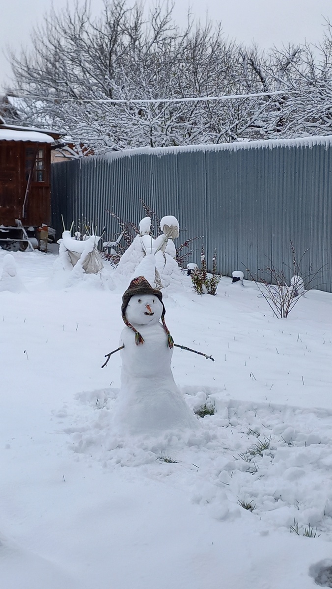 Дачная зимняя сказка.