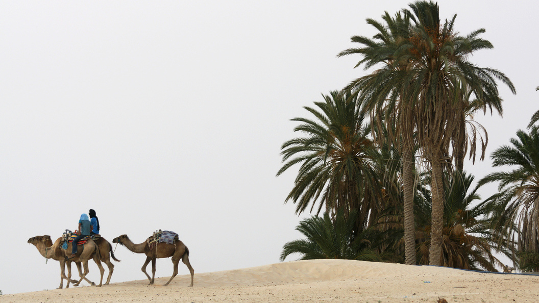    Фото: Aleksey Smyshlyaev /Globallookpress/