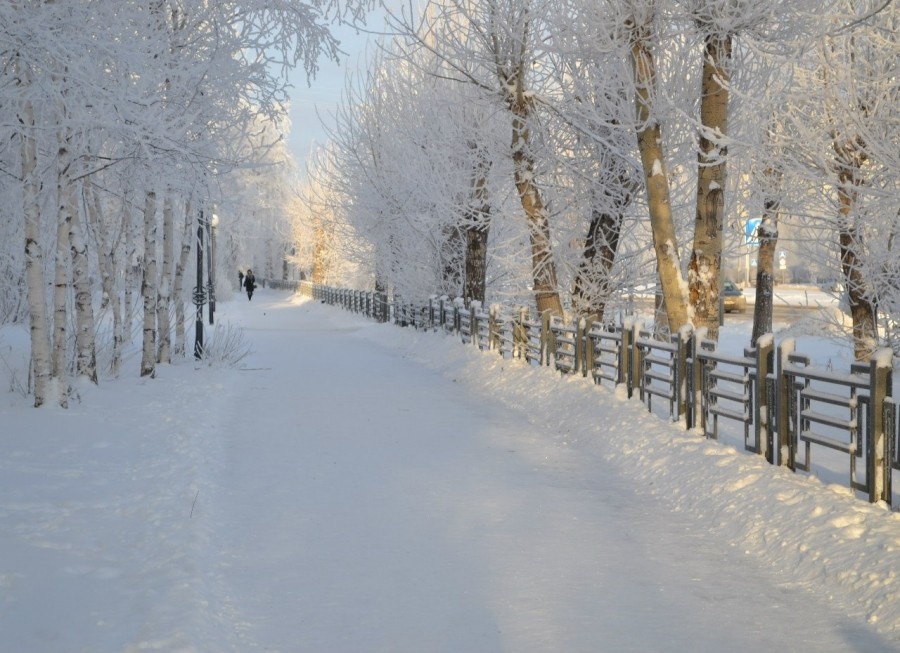 Яндекс. Картинки
