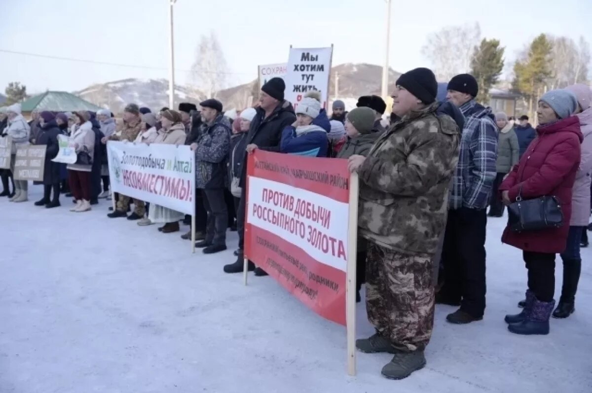    Бастрыкин поставил на контроль дело о золотодобыче в Солонешенском районе