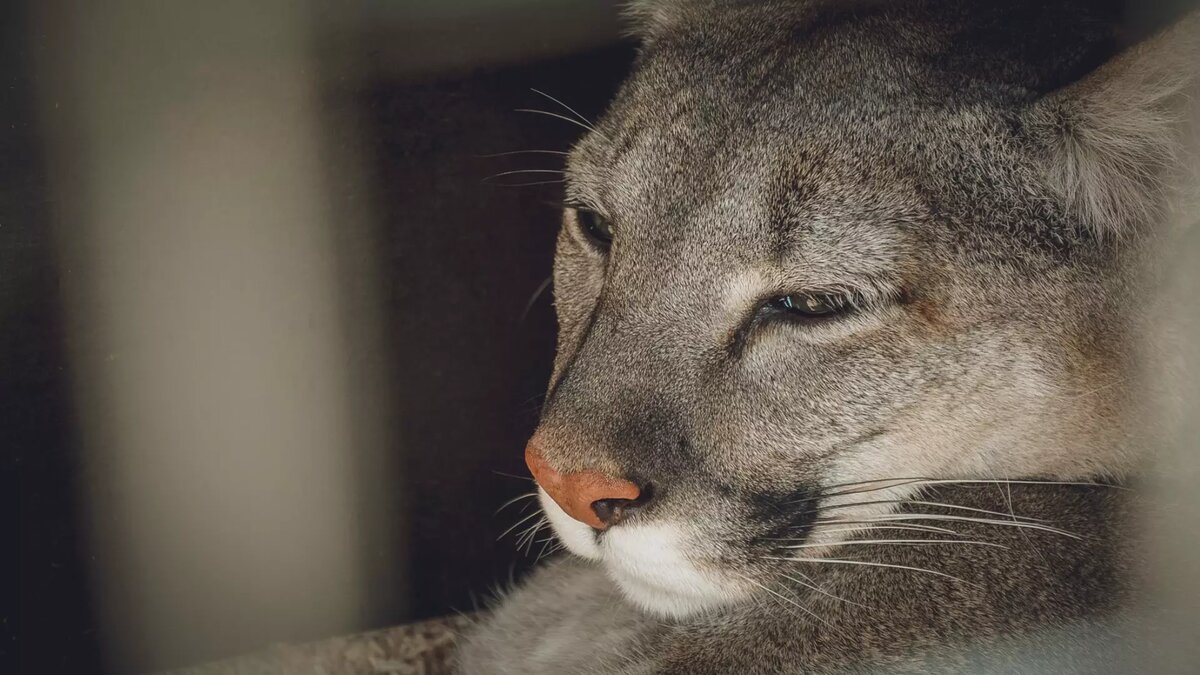     Источник: 1MI