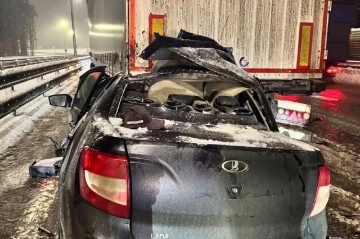    В Тверской области на М-11 легковушка врезалась в прицеп грузовика