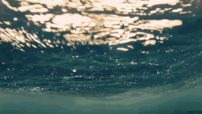 Фото: Яндекс картинки. Море - вид из-под воды