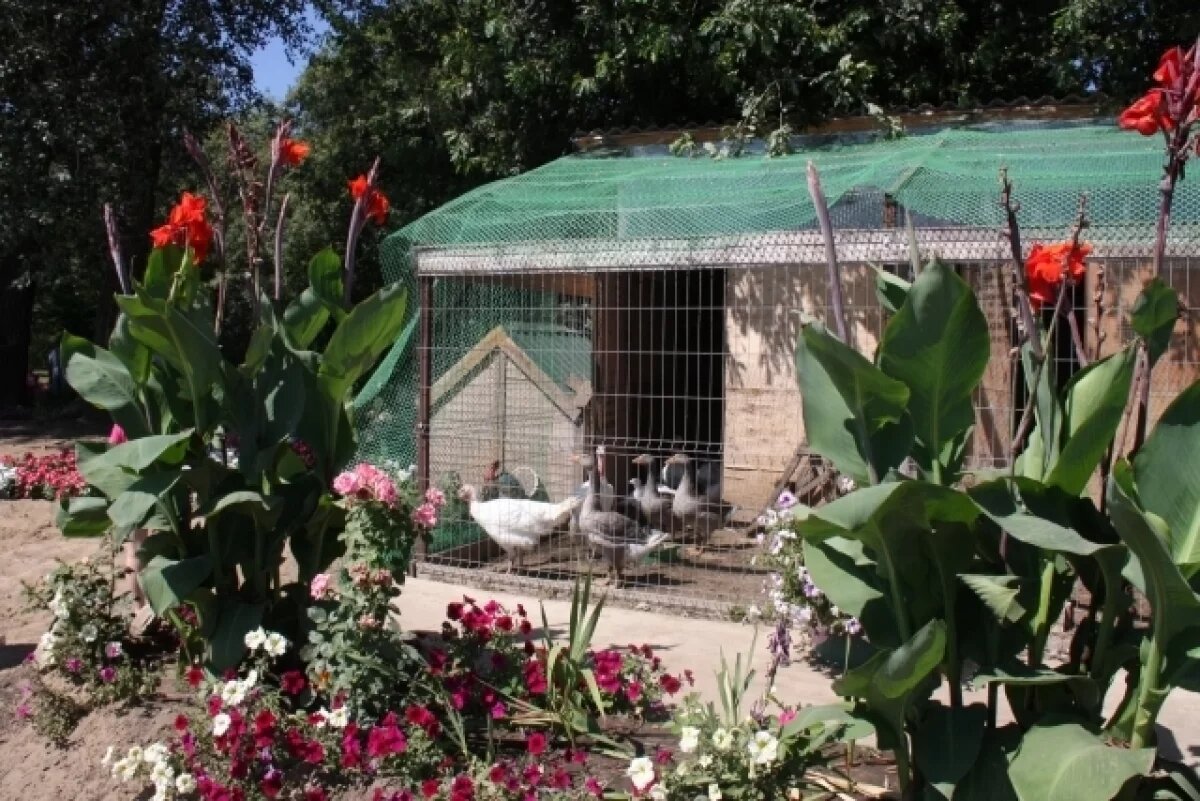    Джентльмены у дачи.