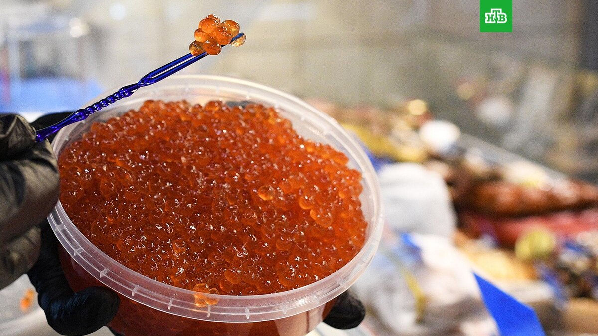    Фото: РИА Новости © 2024, Алексей Майшев