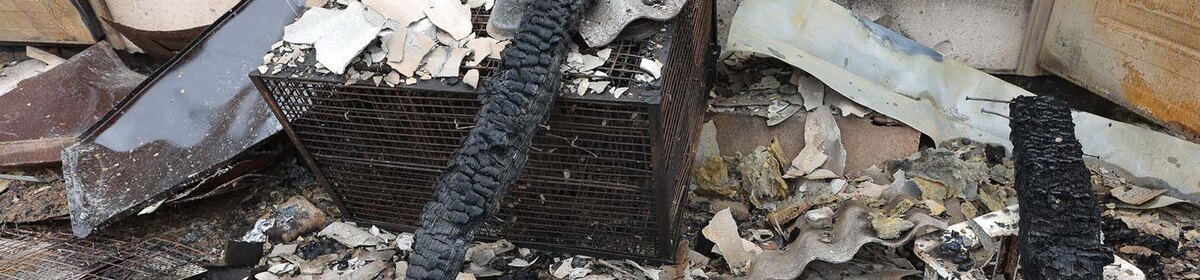    Фото: Антон Вергун