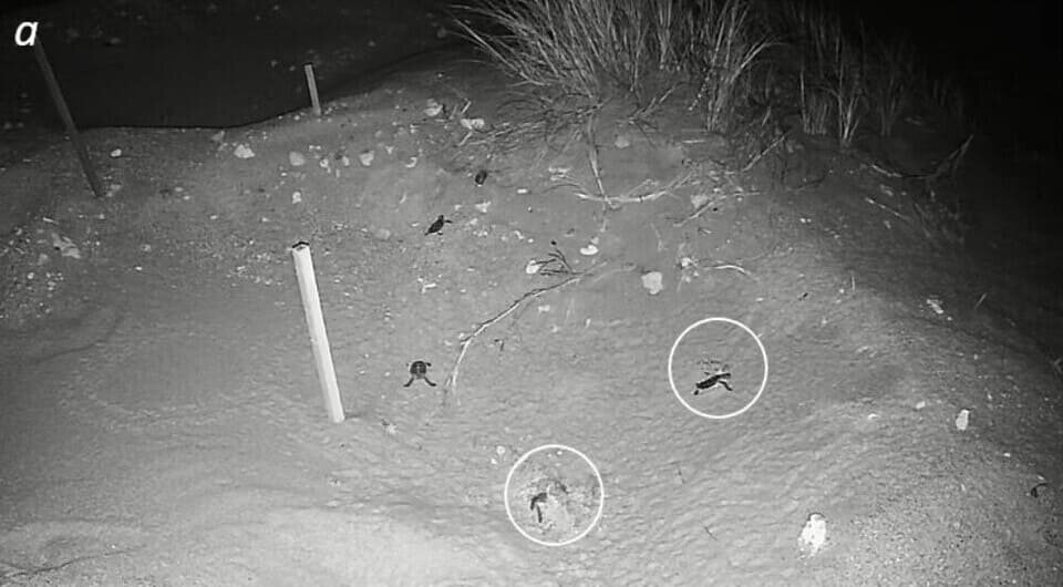   Casper Avenant et al. / Marine Biology, 2024