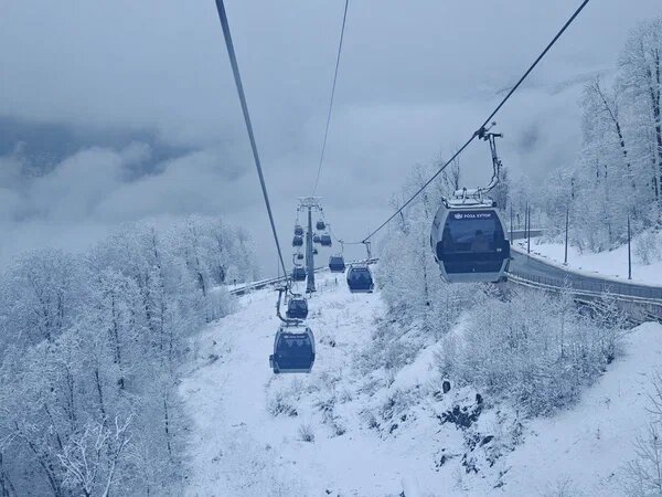    Фото: Юрий Серебренников/BFM Кубань