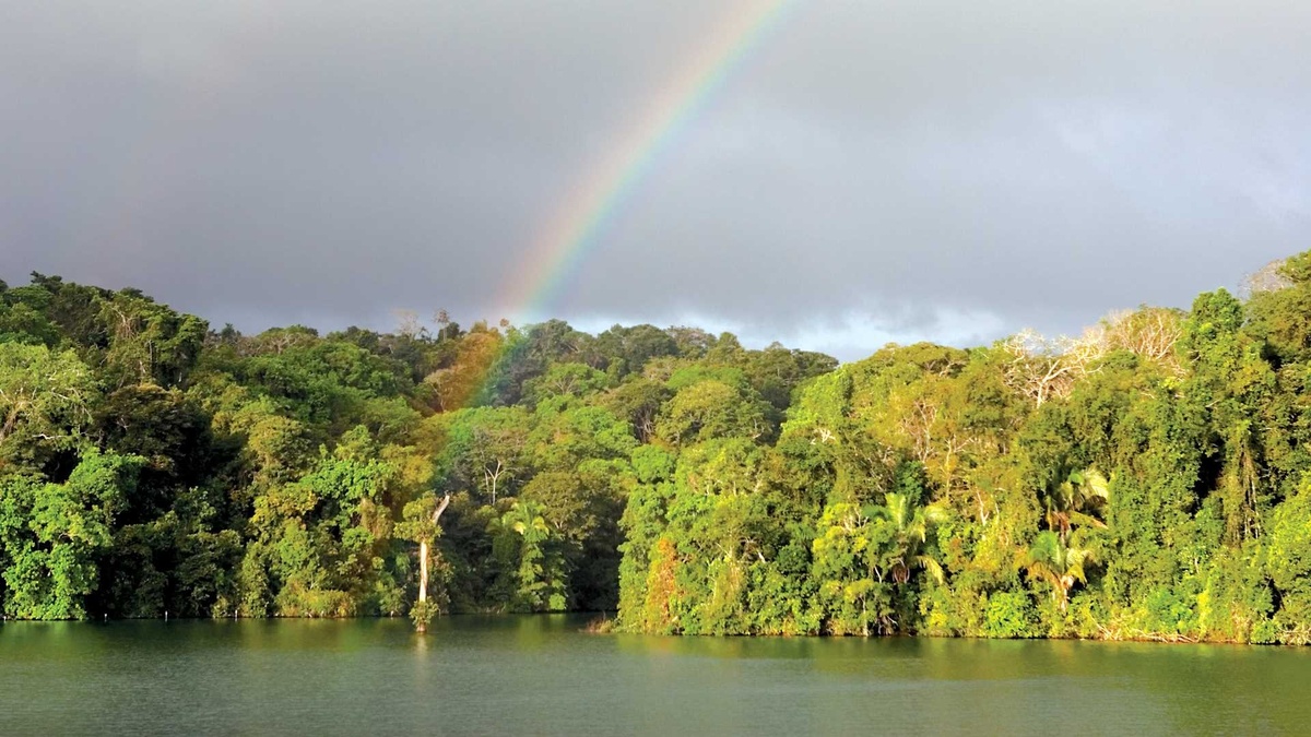 о. Барро Колорадо. фото: world.expeditions.com