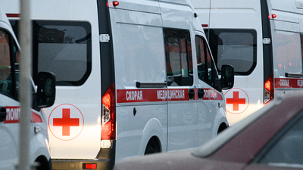    Ilya Moskovets/Globallookpress