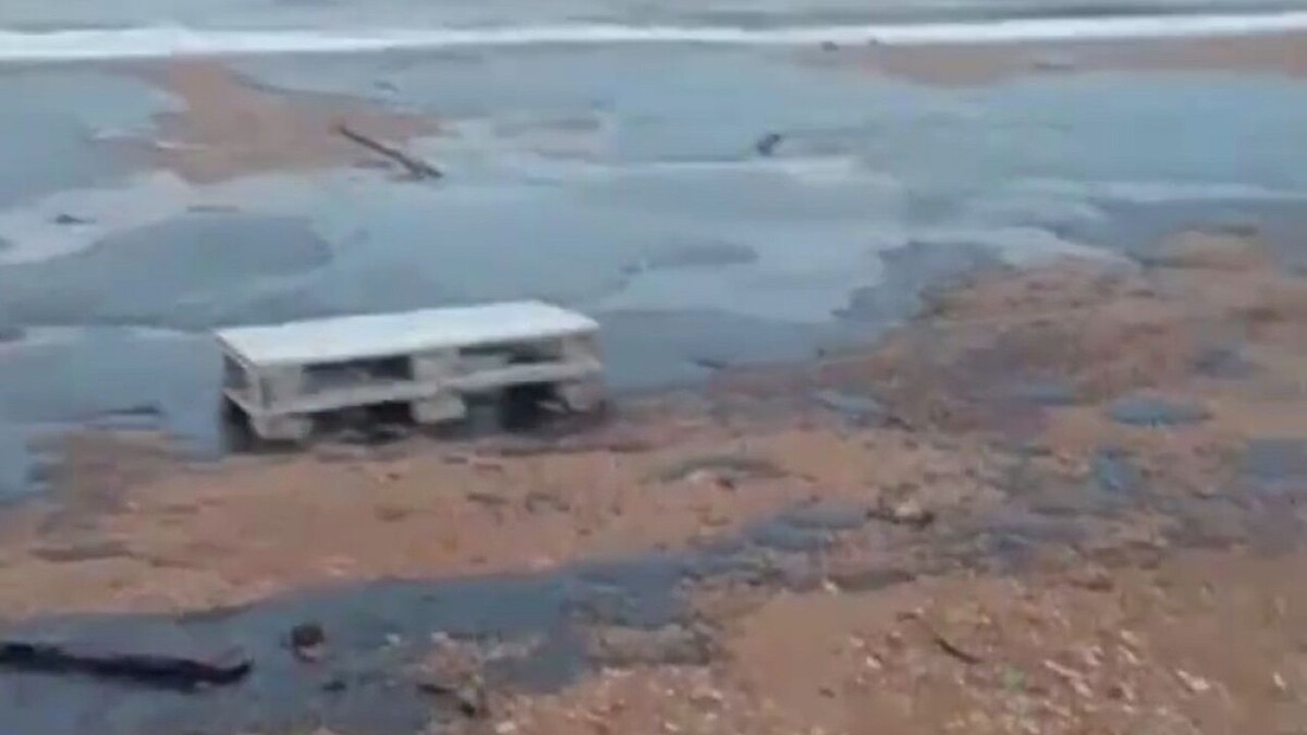    Фото: t.me/tipichkras