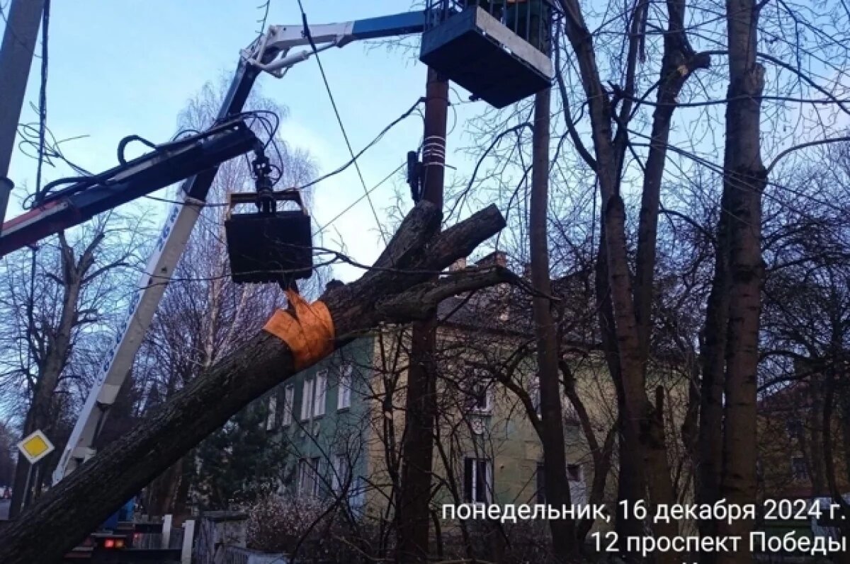    Шестнадцать автомобилей пострадали в Калининграде из-за урагана