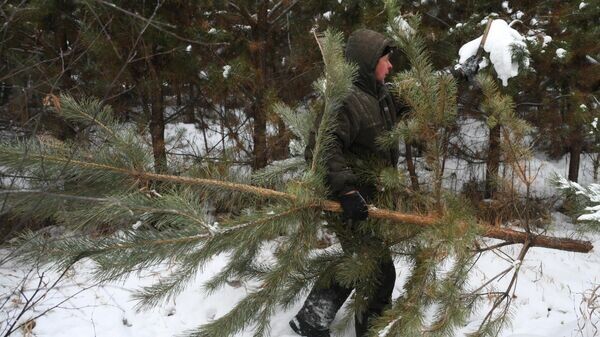    © Sputnik / Александр Кряжев