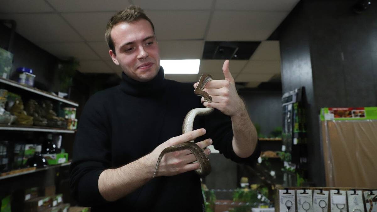    Корреспондент «ВМ» Никита Бессарабов в жизни не держал в руках змей, и первое знакомство с этими созданиями вышло по-настоящему захватывающим / Фото: Анатолий Цымбалюк / Вечерняя Москва