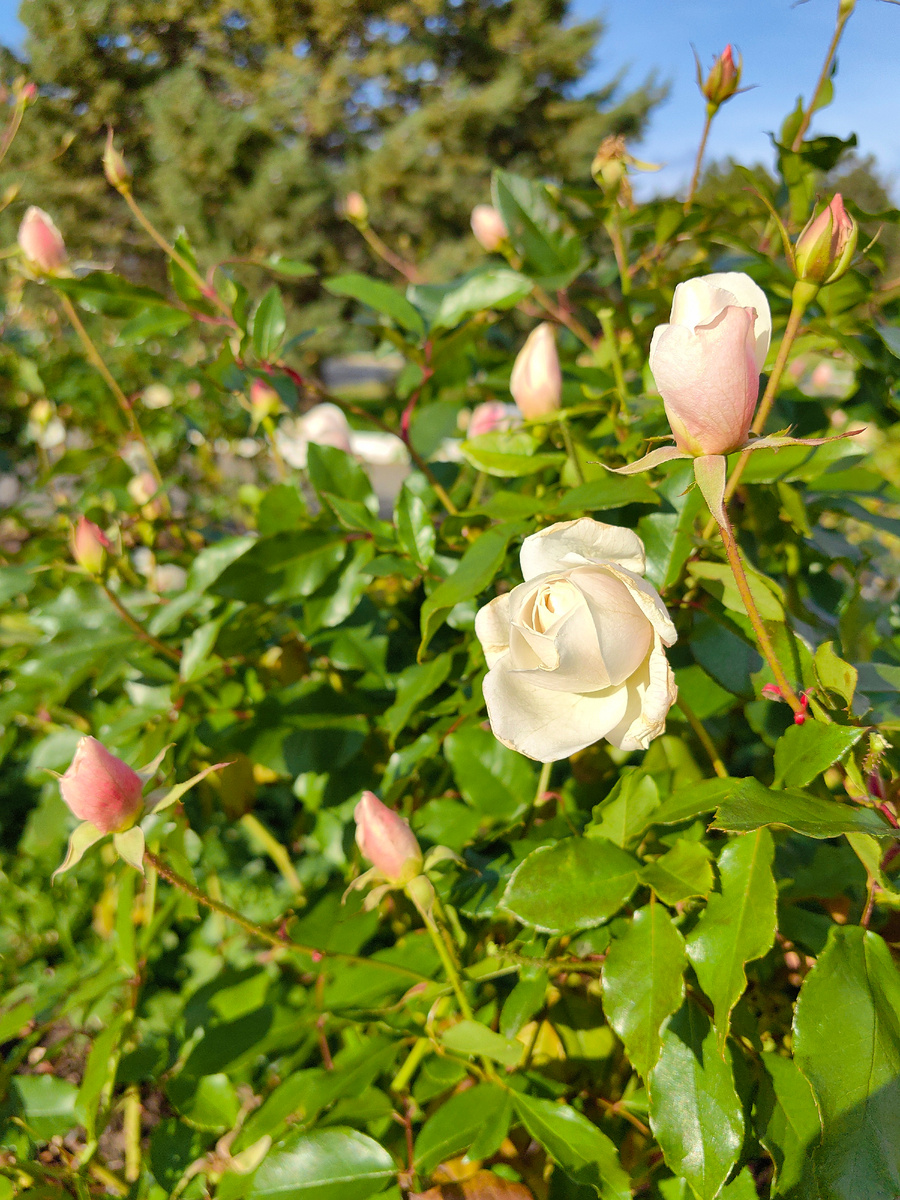 Сегодня. Фото автора канала