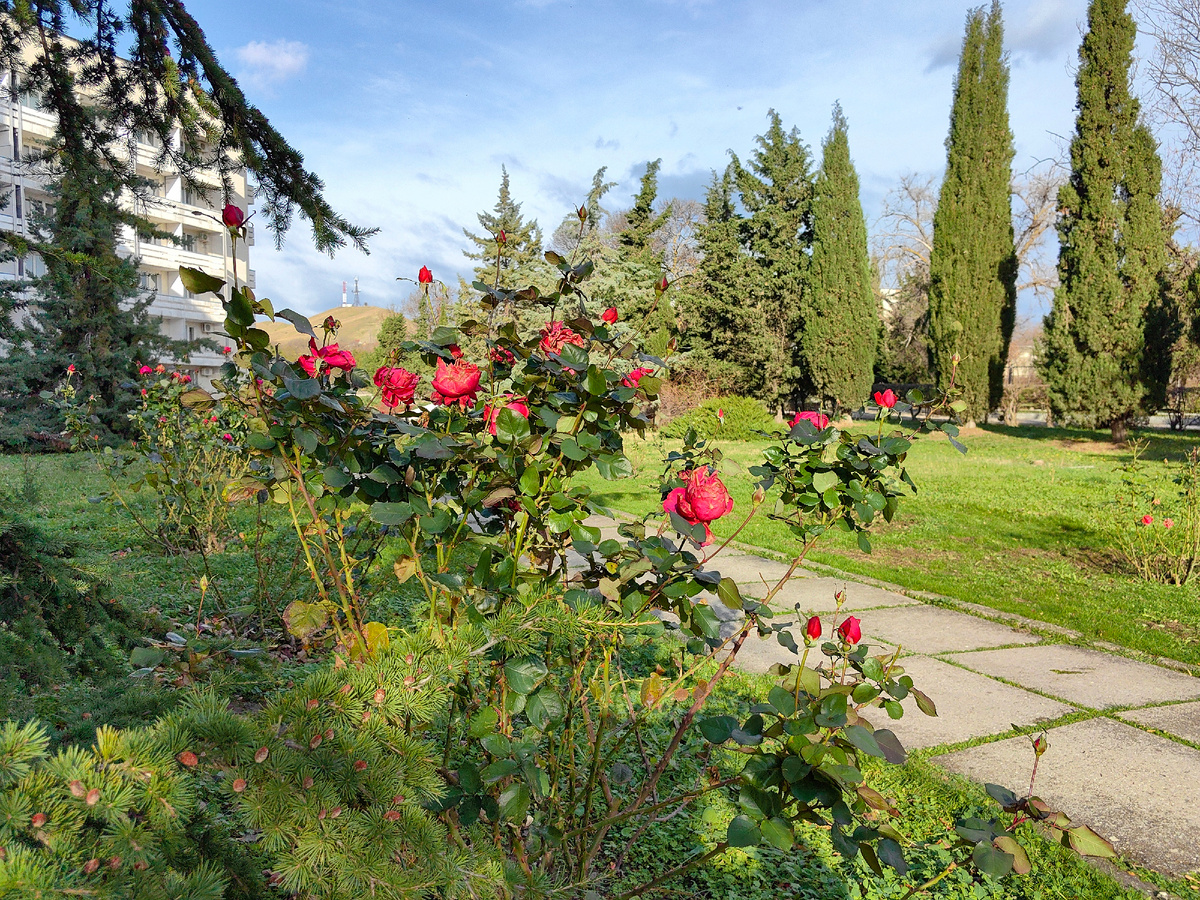 Сегодня. Фото автора канала