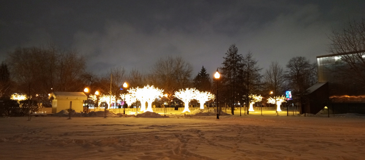 Деревца манят внутрь