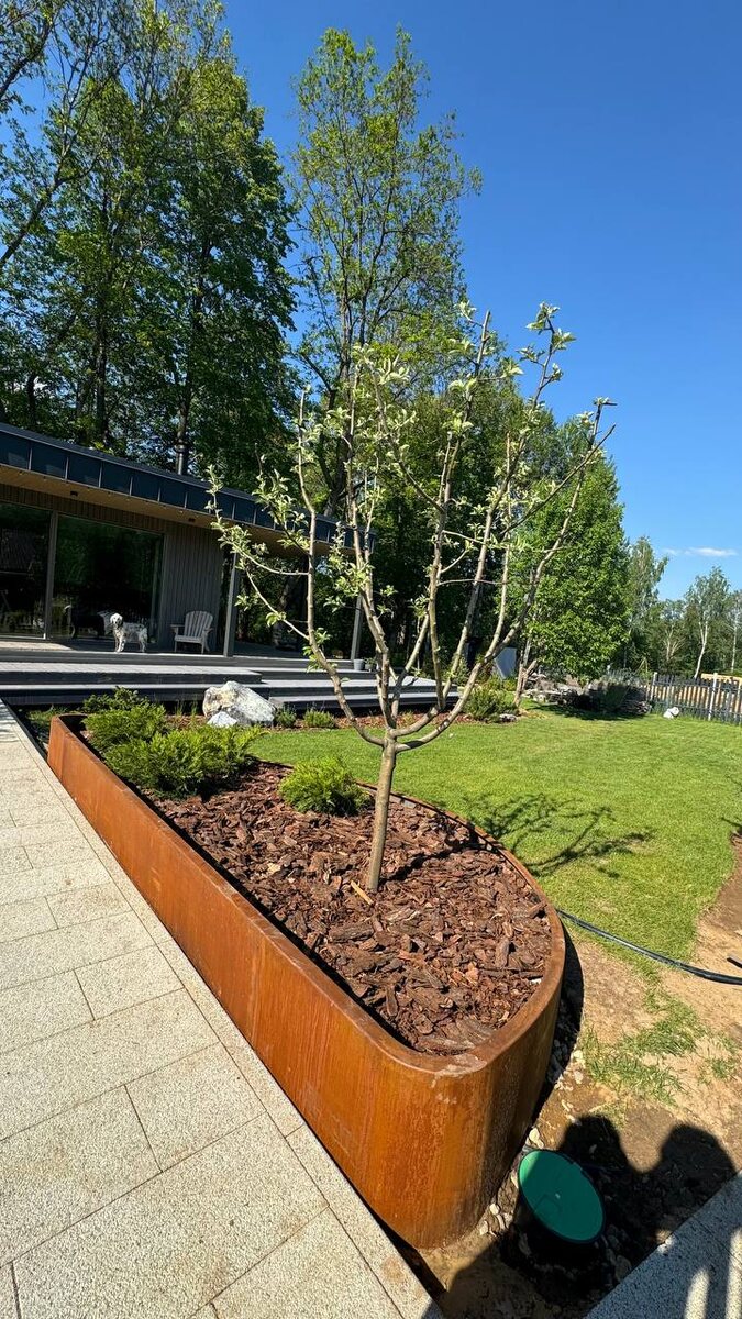 Клумба из кортен стали для сада