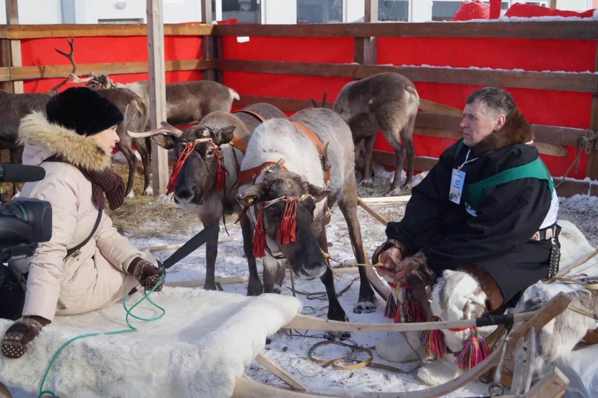    Оленеводы севера Камчатки могут бесплатно отдохнуть в санаториях