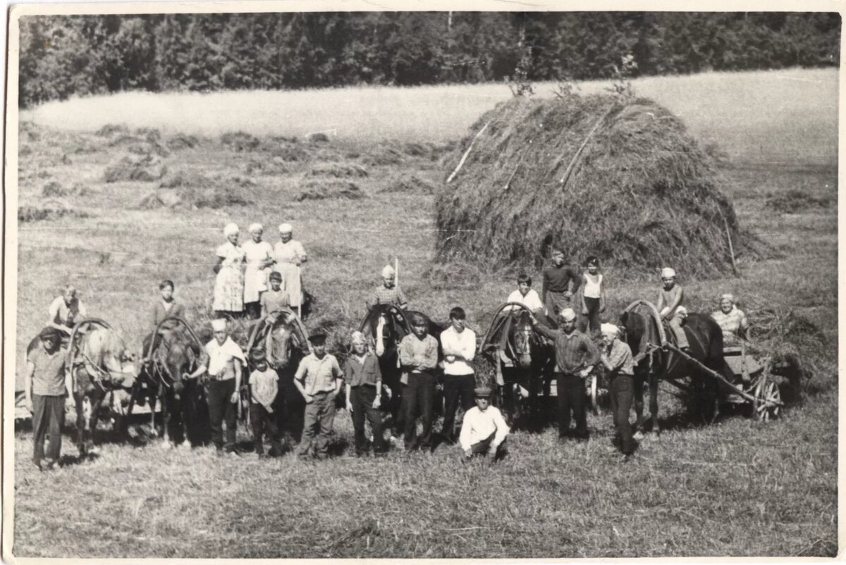 фото из интернета