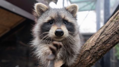    Фото: Новости ПМР