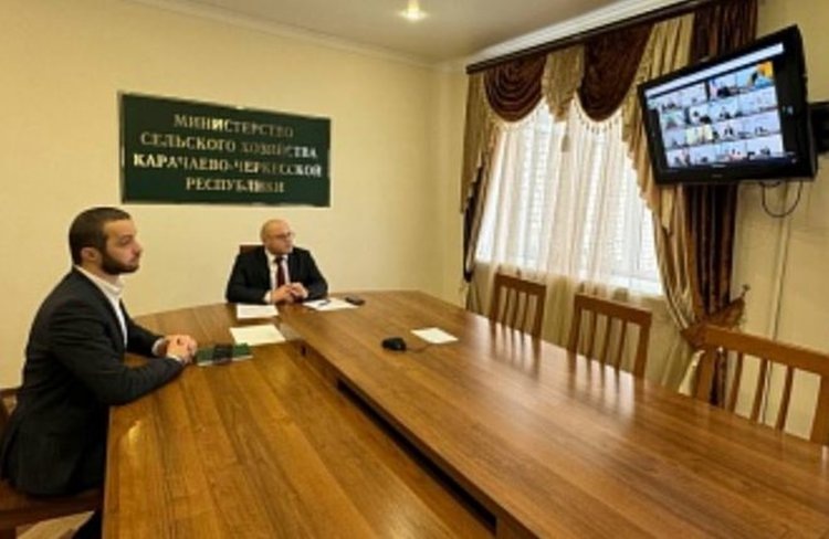    Карачаево-Черкесия нарастит урожай зерновых и зернобобовых культур до 496,9 тысяч тонн к 2030 году