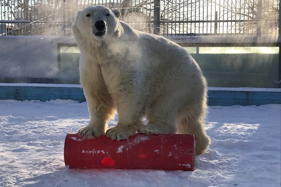   Пресс-служба МАУ «Пензенский зоопарк»