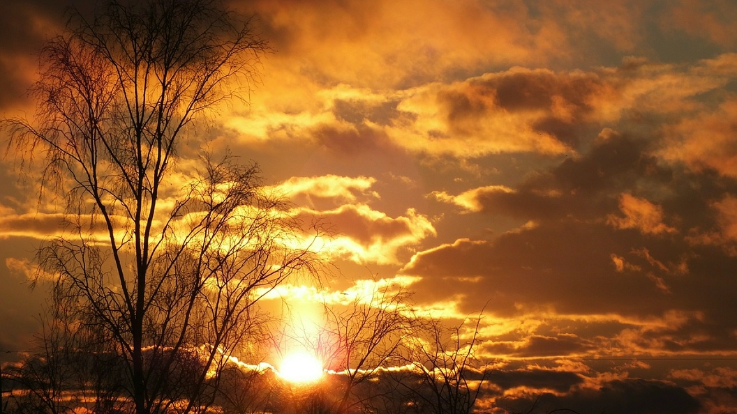    Victor Lisitsyn/Global Look Press