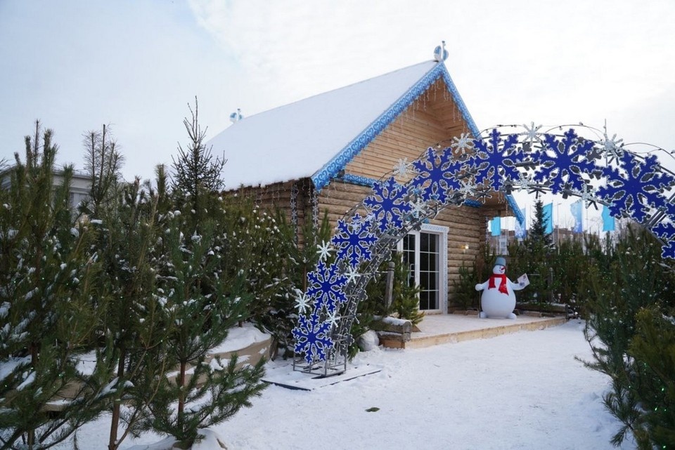    Усадьба Деда Мороза будет работать с 28 декабря по 8 января. Светлана МАКОВЕЕВА