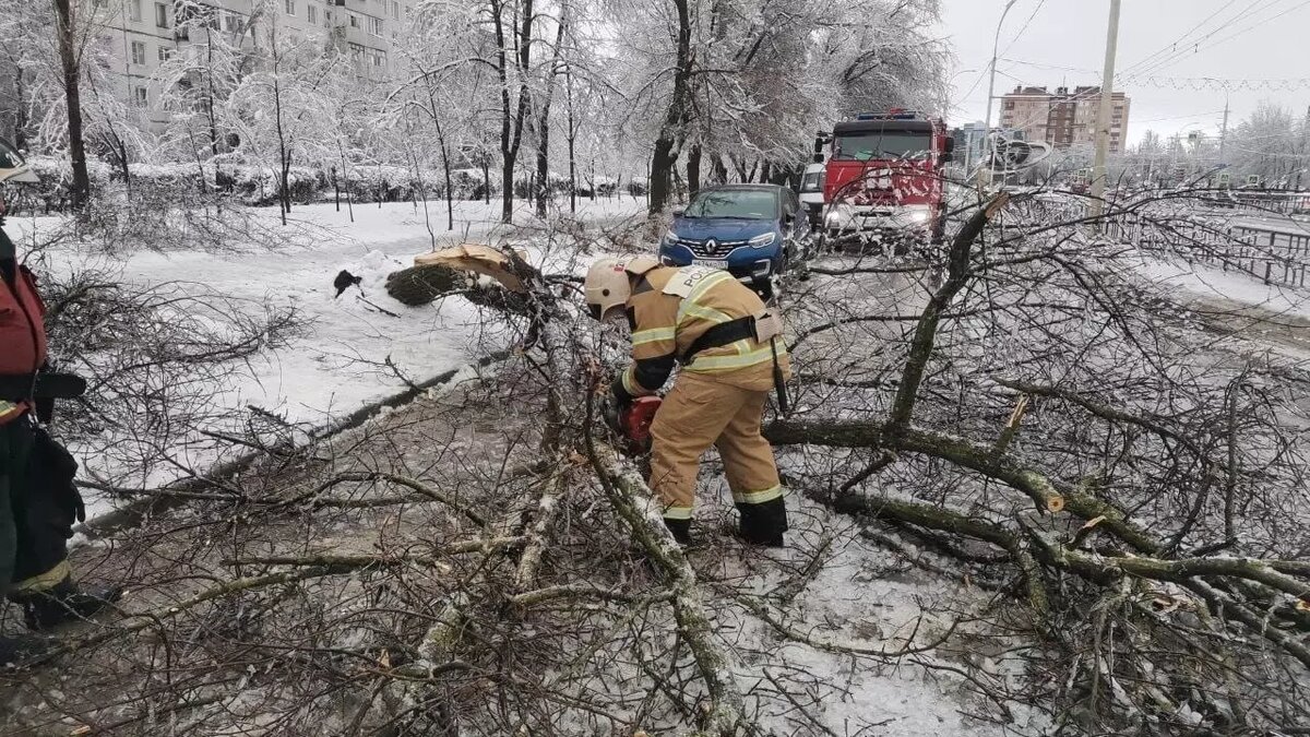     Автор: 61.mchs.gov.ru