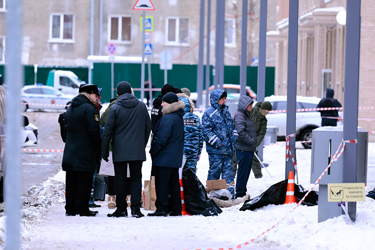 Фото: © Roman Naumov / URA.RU / www.globallookpress.com