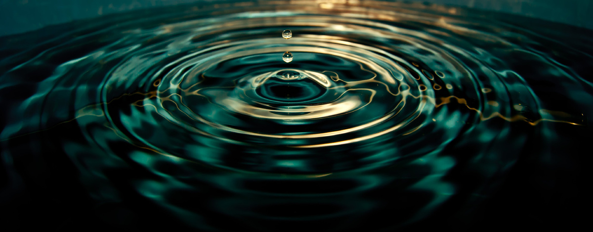 Изображение взято из открытых источников