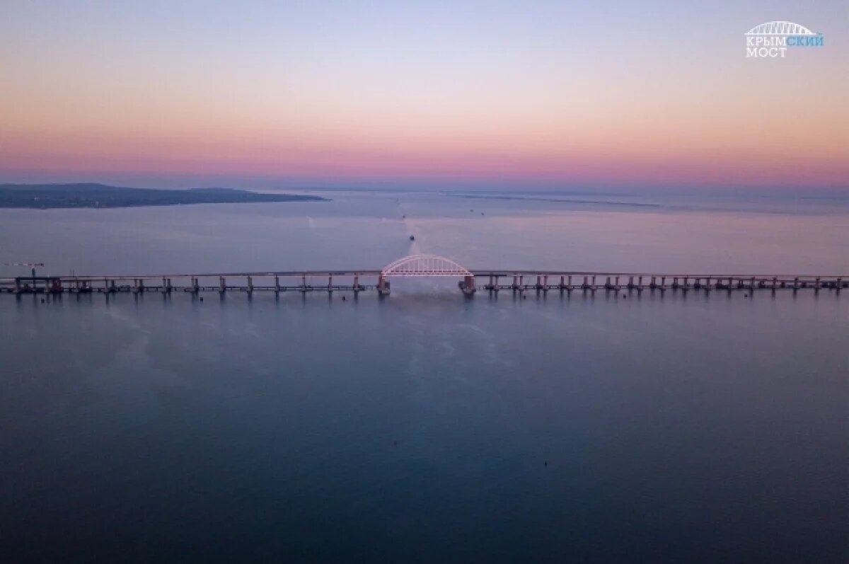    Страдают дельфины и птицы?