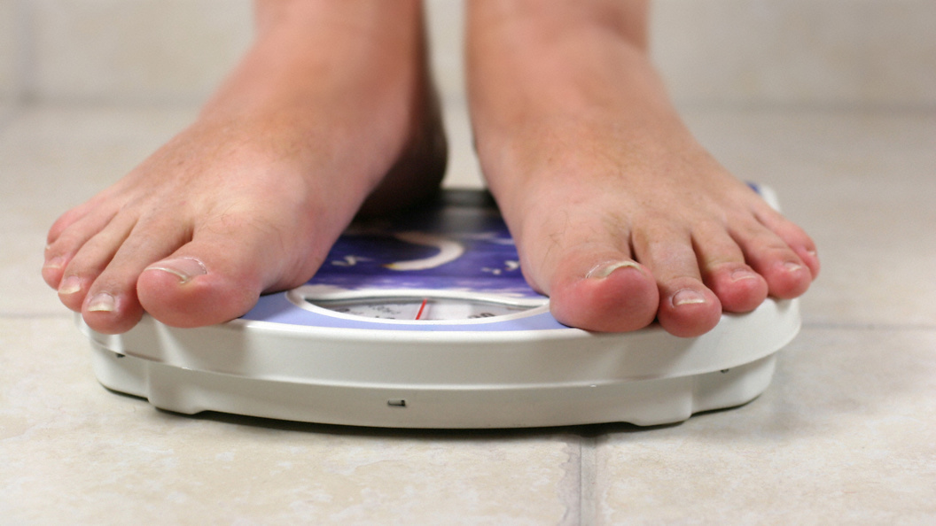    фото: CHROMORANGE / Bilderbox/Globallookpress