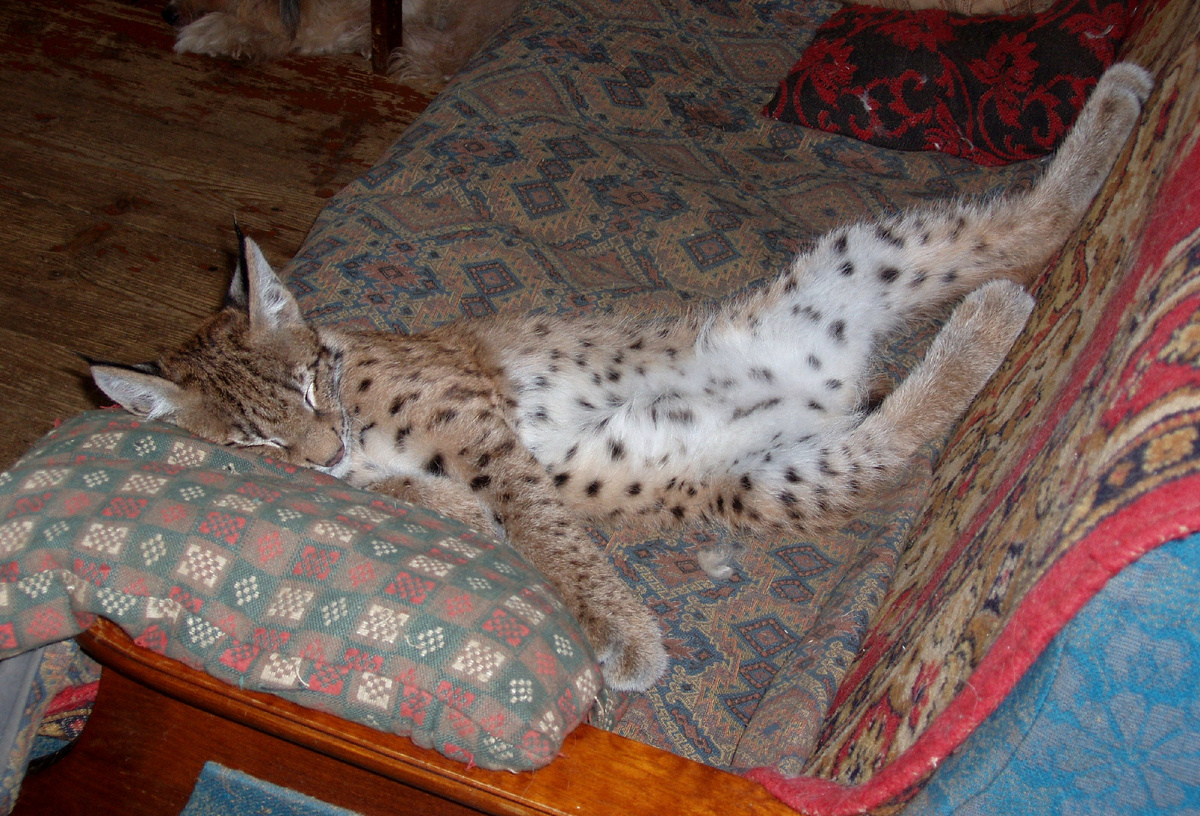 Ничто человеческое им не чуждо