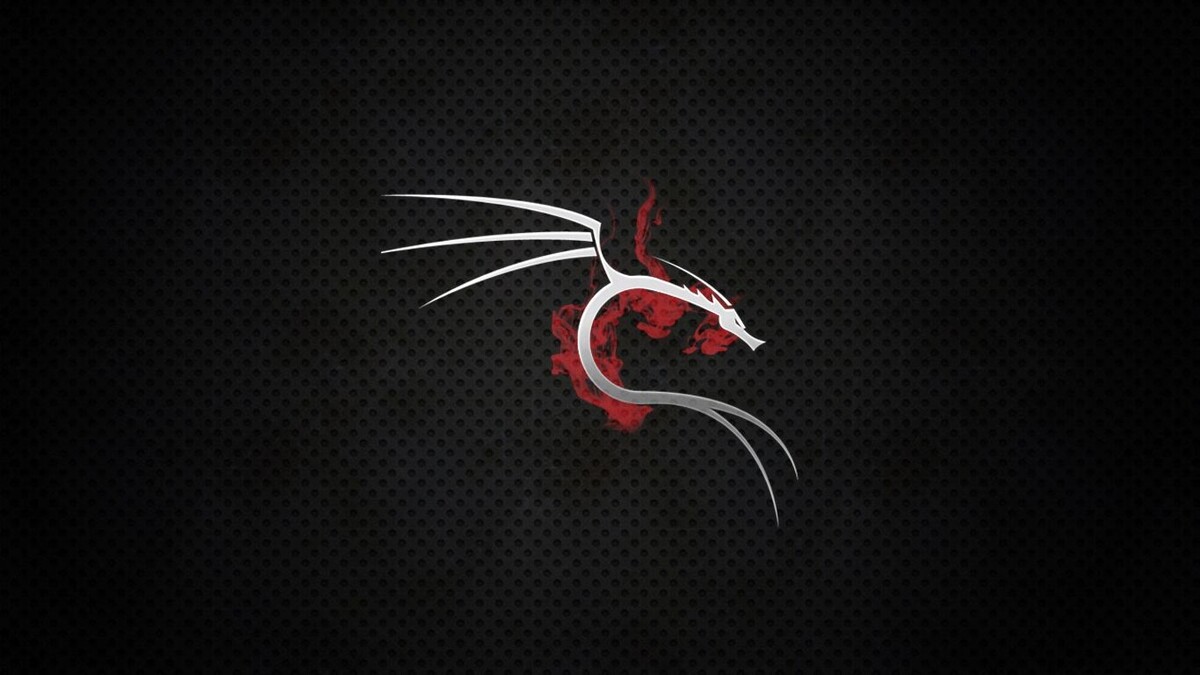 Kali Linux 2024.4: Финальный релиз года с новыми инструментами и отказом от i386