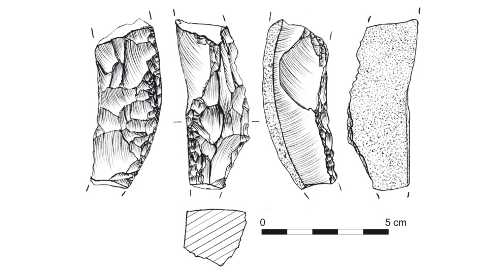   Marcin Szeliga et al. / Sprawozdania Archeologiczne, 2024