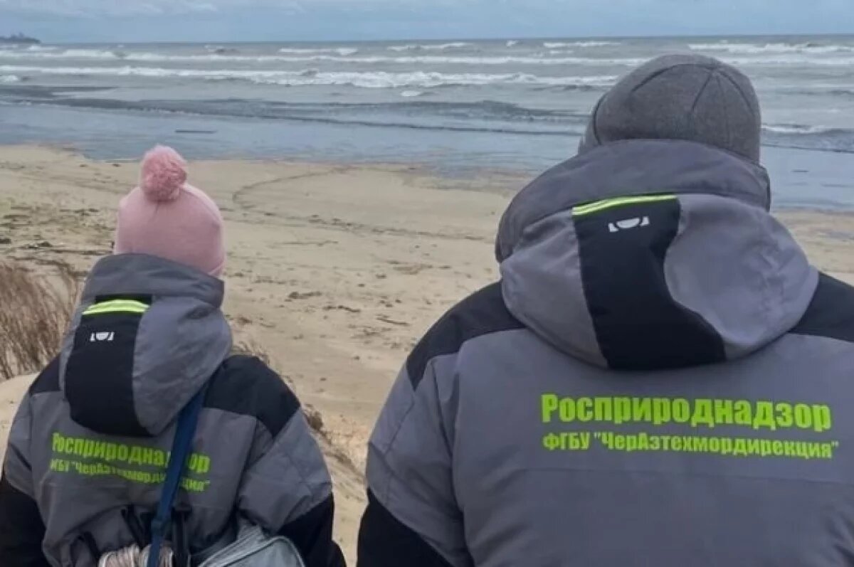    На Кубани Роспотребнадзор оценит площадь загрязнения побережья