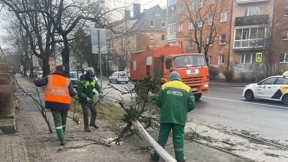    Ликвидация последствий штормовой погоды в Калининграде. Автор фото: пресс-служба администрации Калининграда
