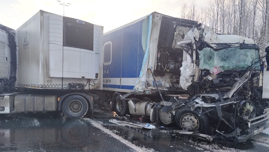    Автор фото: vk.com/spb_today