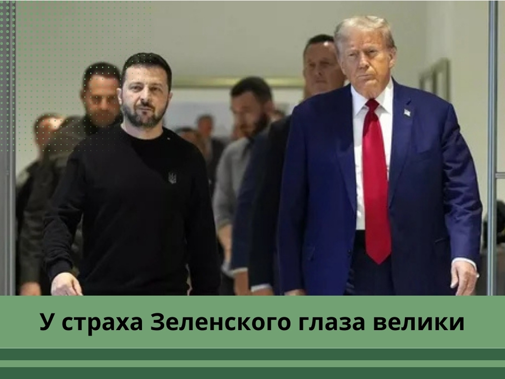 Фото: yandex.net