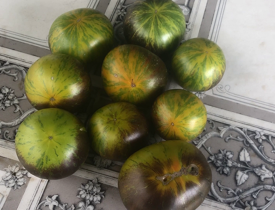 Зеленая богиня Ксанаду-2024 г