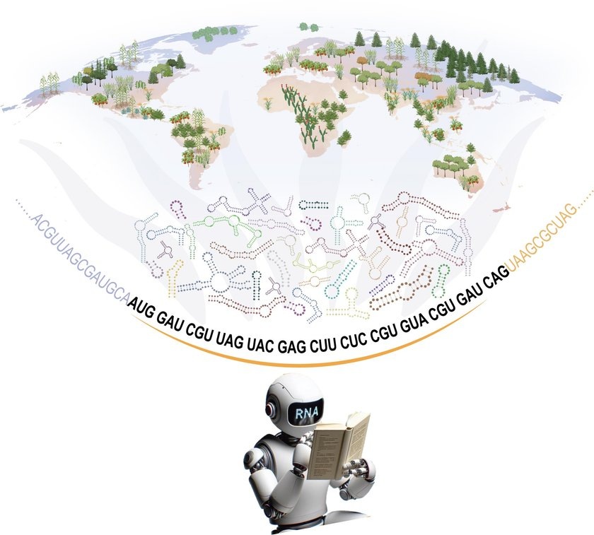 Нейросеть изучила язык растений