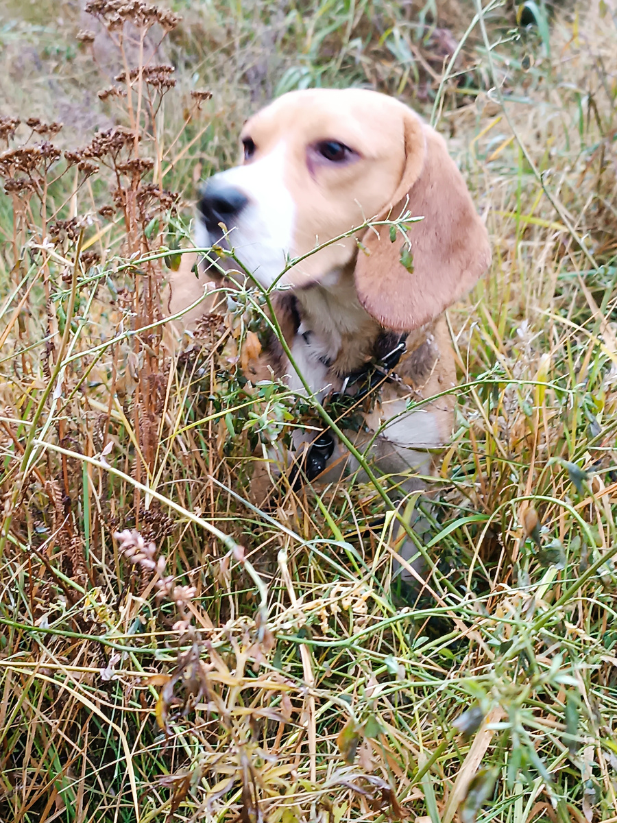 Мартин. Фото автора