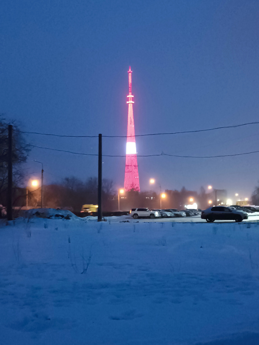 Во время прогулки любуемся на телевышку. Фото автора