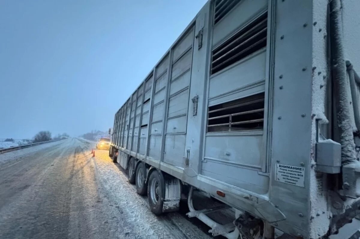    Лоб в лоб столкнулись легковушка и КамАЗ на трассе Ижевск – Сарапул