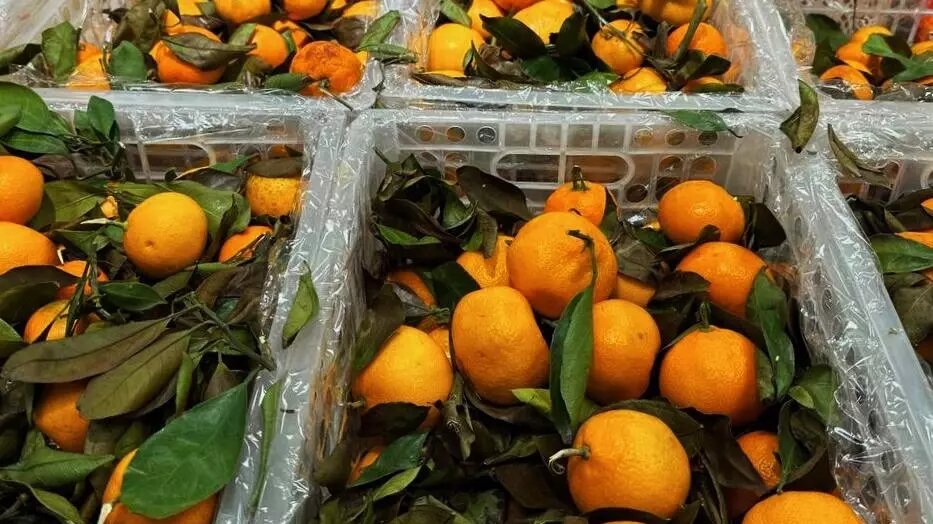     Источник: prmira.ru