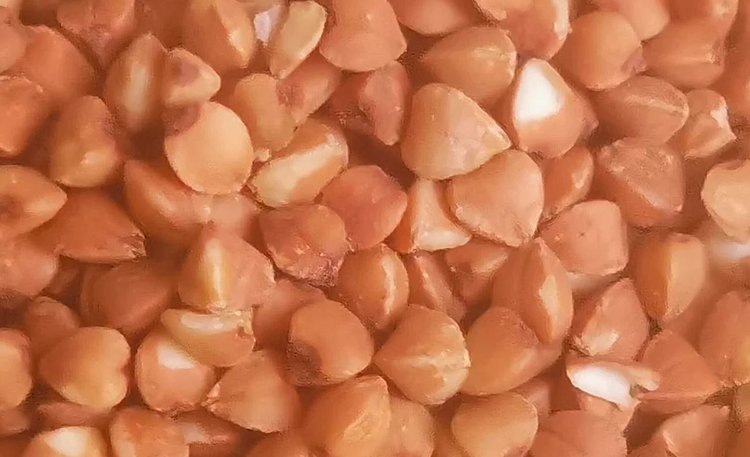    Современный комплекс по переработке гречихи в Челябинской области стимулирует выращивание этой культуры в регионе