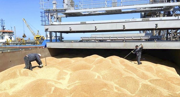    Объем обеззараживания складских помещений для зерна в Татарстане увеличился почти втрое и превысил 1 млн кубометров