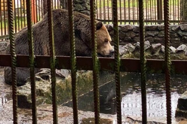    Фото: Объединенная пресс-служба судов Петербурга